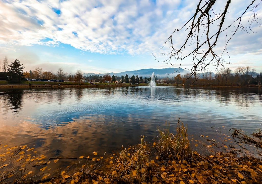 Lake and fountain in a Coquitlam park
