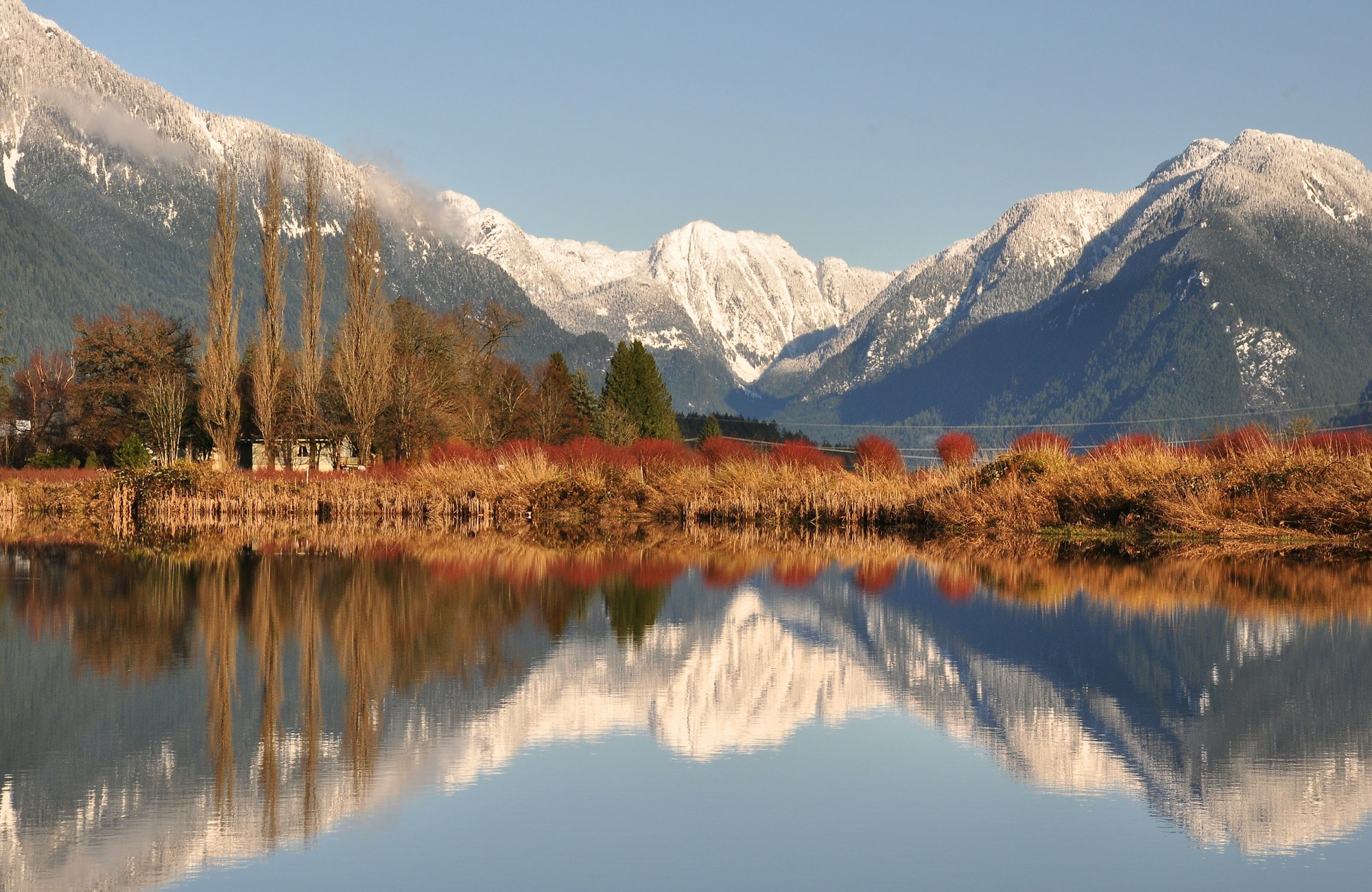 Mountains reflected in the water in Pitt Meadows