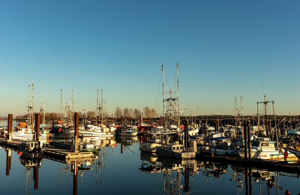 Fishing boats in the Steveston harbour in Richmond